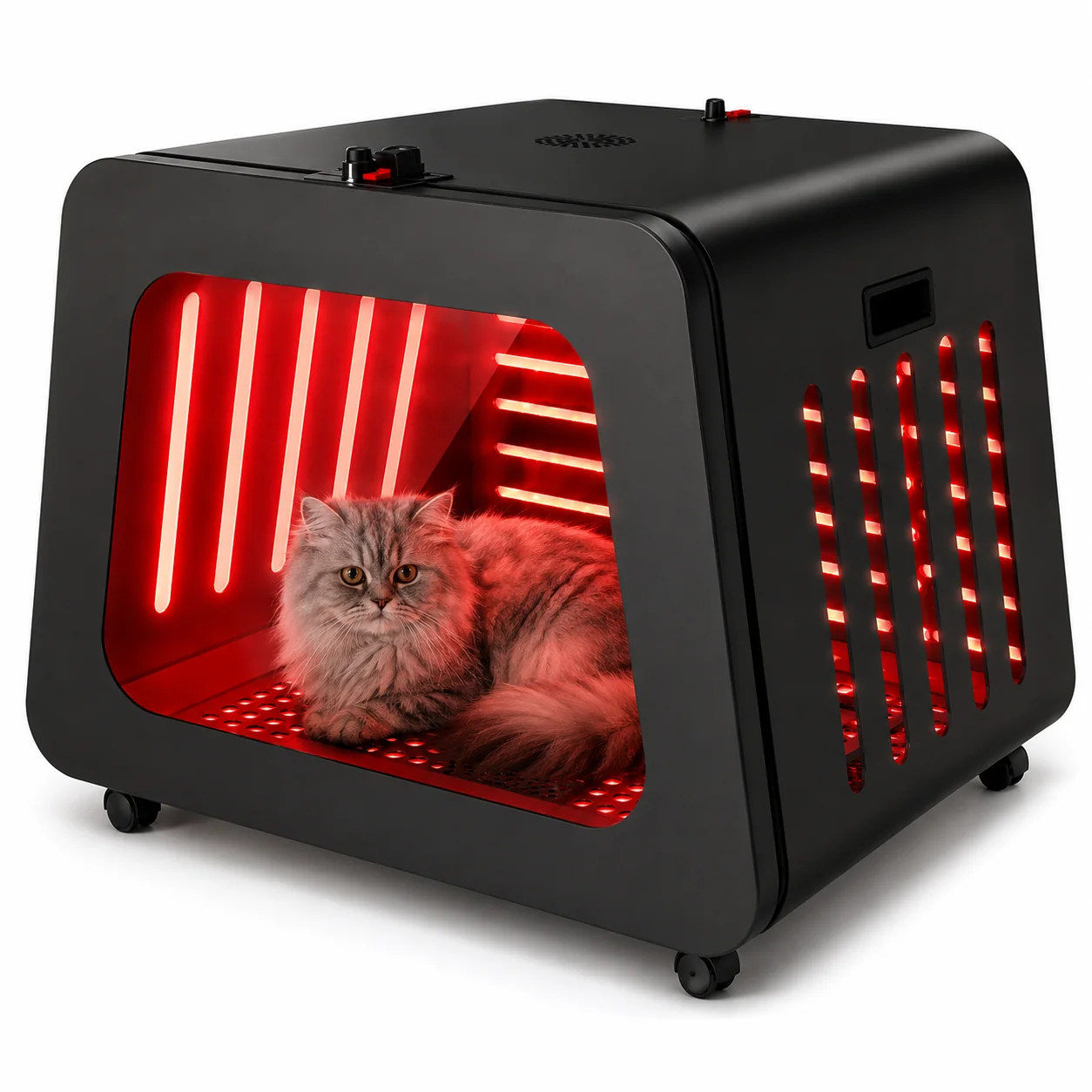 Red and Near-Infrared Light for Pets