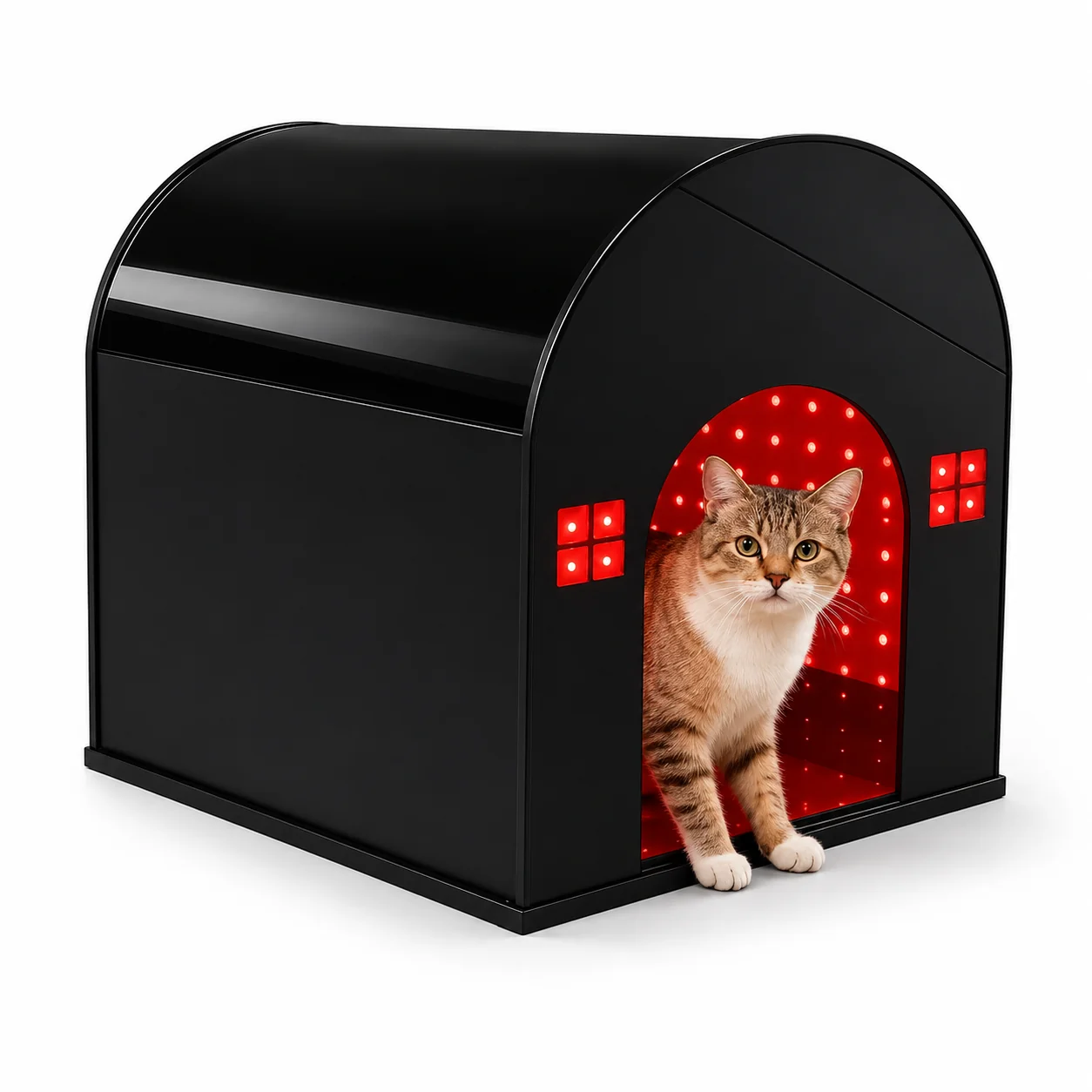 THEIA Pets – Premium Pet Care, Wellness & Recovery
